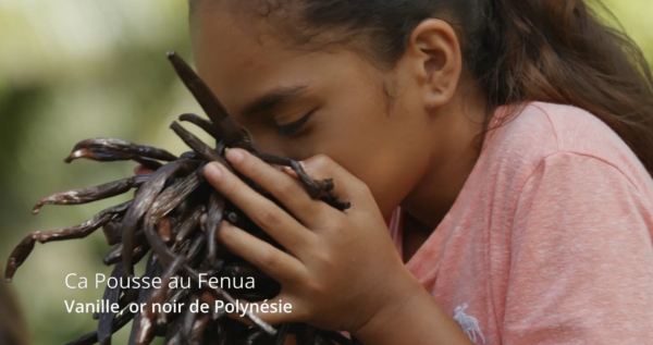 Documentaire - vanille or noir de polynésie