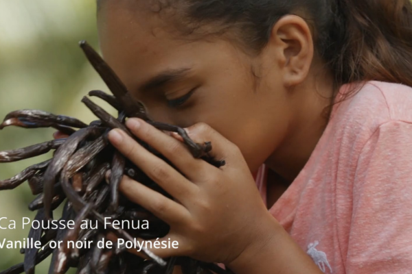 Documentaire - vanille or noir de polynésie